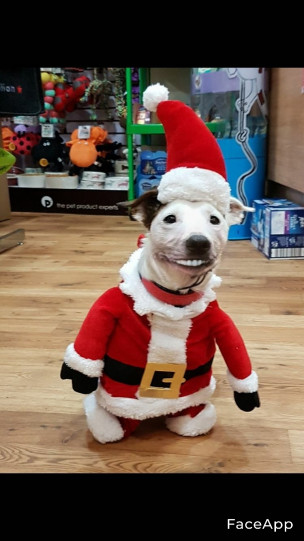 117 - WAB's 2021 Christmas Competition
