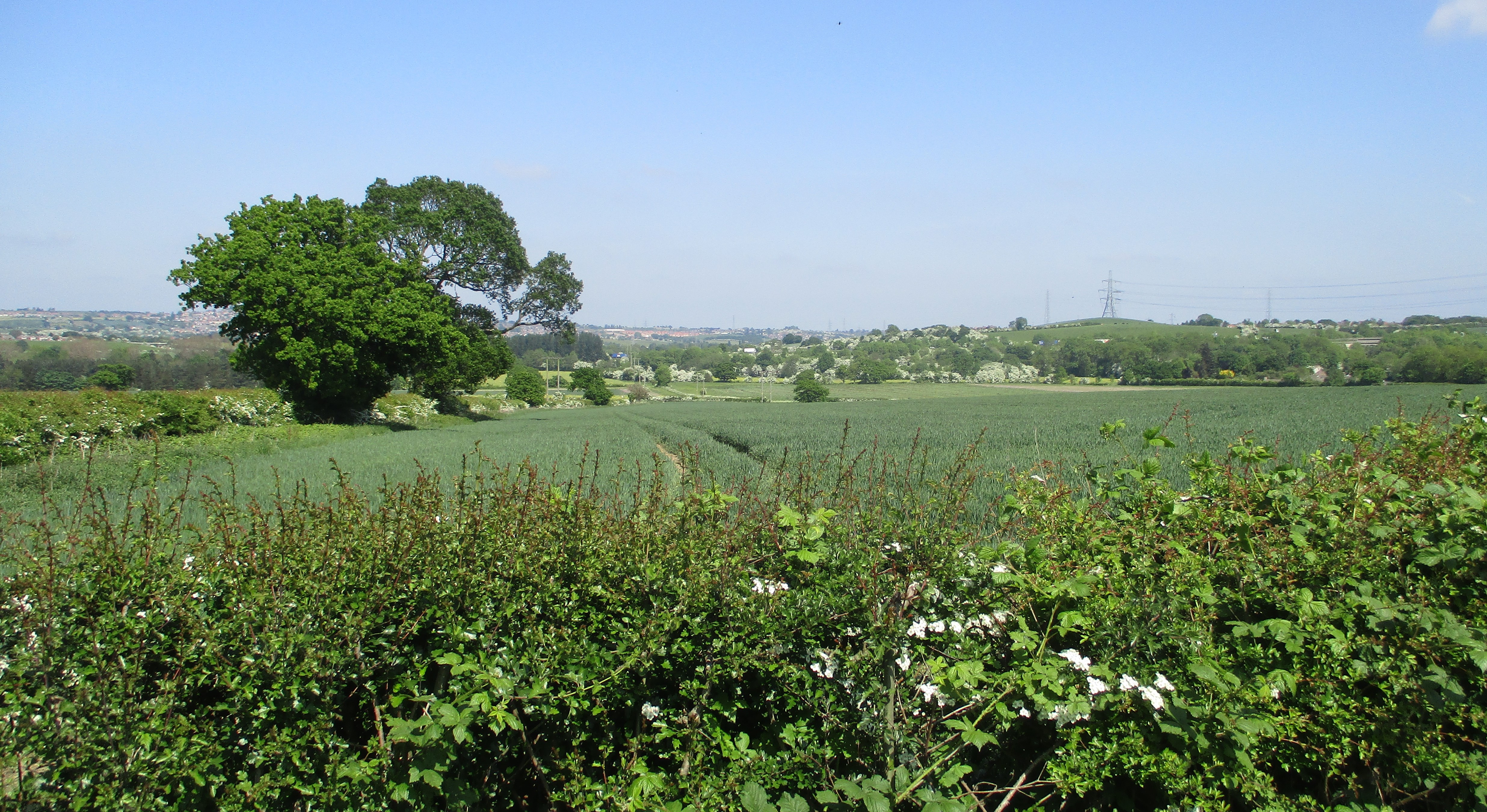 Image for Capture Barnsley