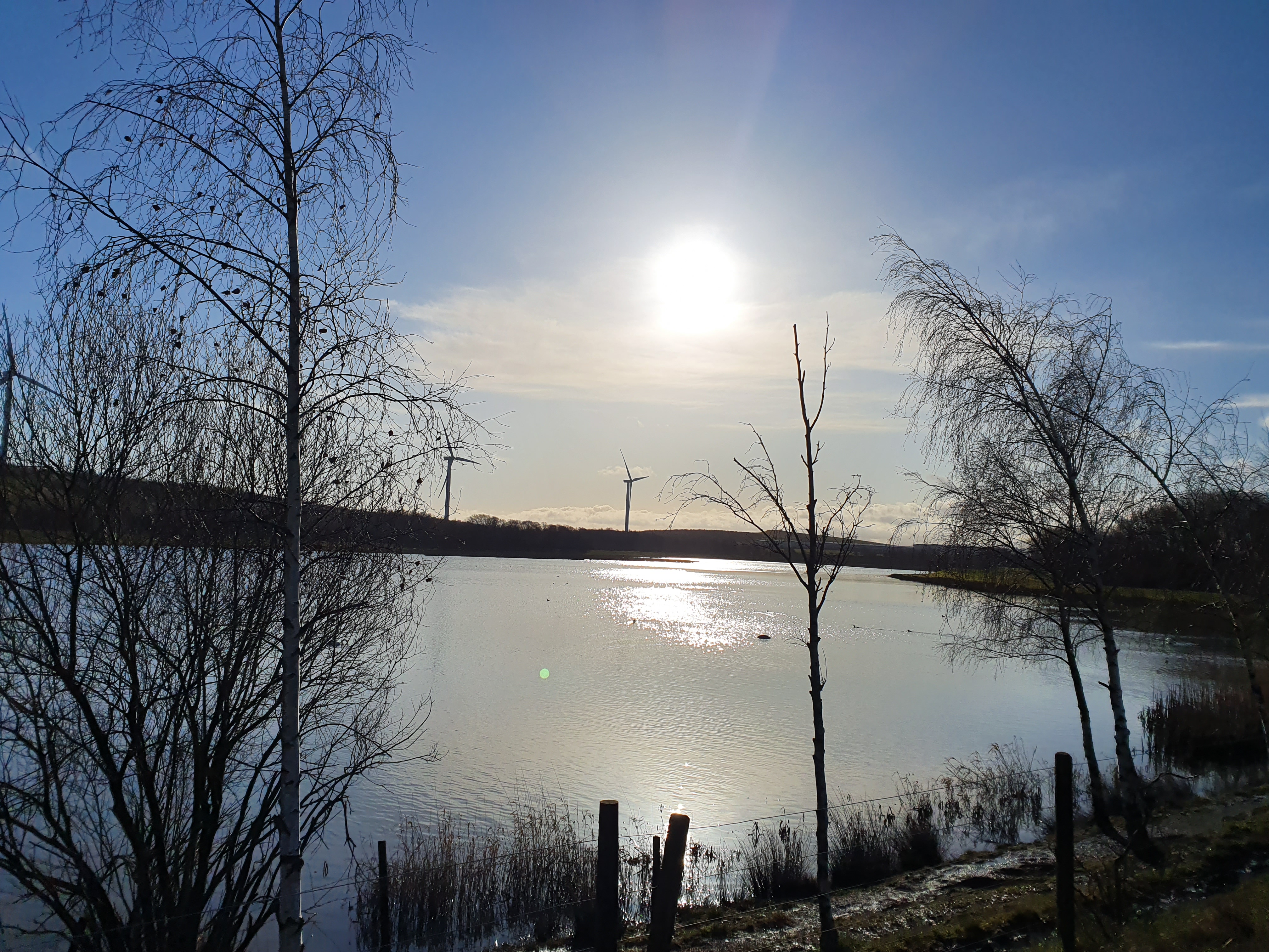 Image for A beautiful morning walk with my wife donna and our two dogs Charley and bell on the hill in Cudwort