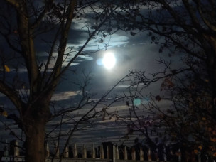 A winter's morning