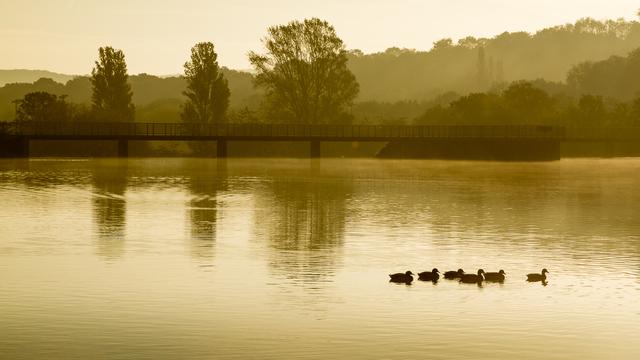 Image for Capture Barnsley