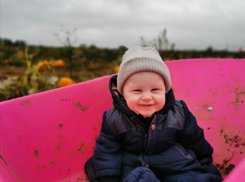 Image for 🎃 Teddy's first Halloween and pumpkin pick 🎃 7 month old 🎃