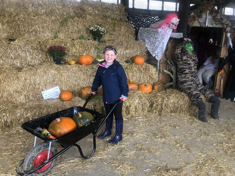 Image for Lily trying to choose the biggest pumpkin!