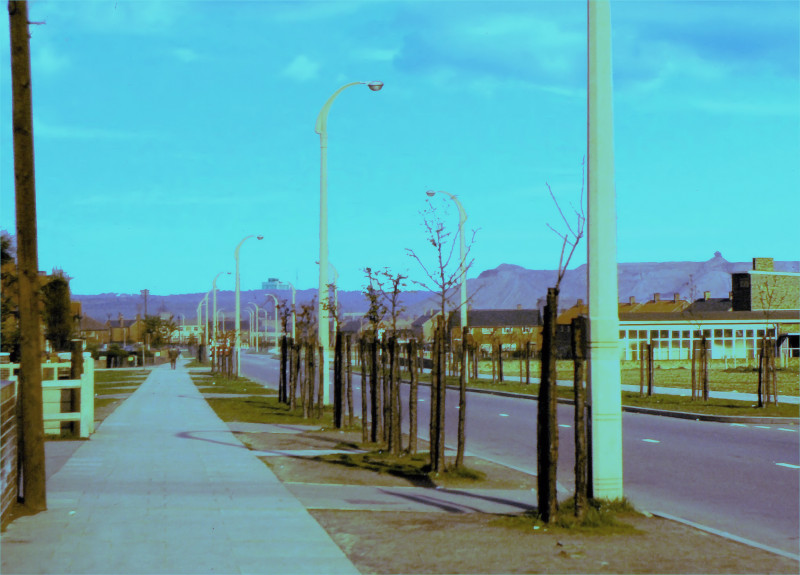 Image for View East down Laithes Lane, Athersley with Slag Heaps c1965