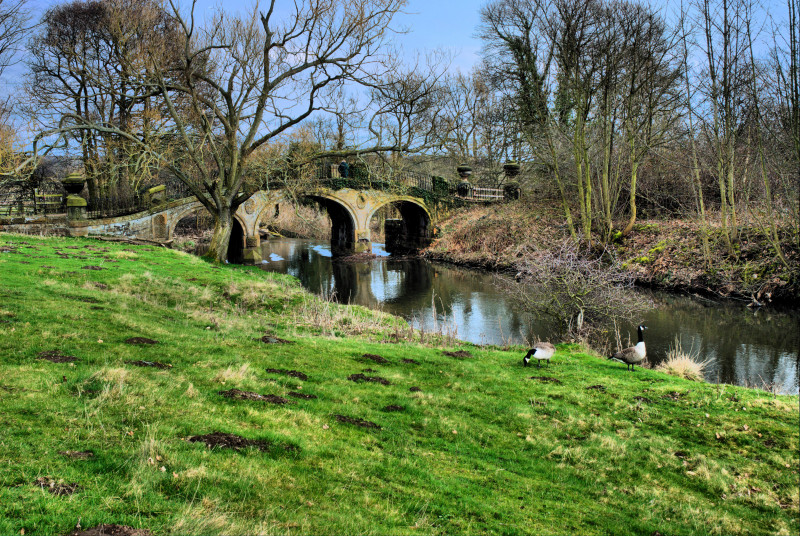 Image for Bretton Park's Dam Head Bridge in the Sculpture Park